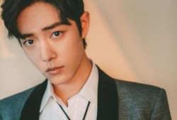 娱乐吃瓜菌肖战粉丝,娱乐吃瓜菌的狂欢盛宴