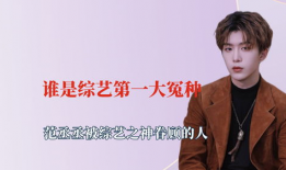 娱乐圈吃瓜宋亚轩是谁啊,揭秘他的成长之路与人气飙升之谜