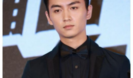 吃瓜娱乐陈晓,揭秘娱乐圈幕后故事