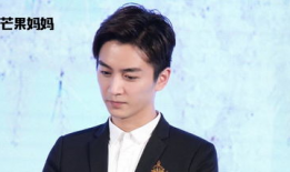 吃瓜娱乐陈晓,揭秘娱乐圈幕后故事