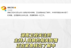 娱乐圈吃瓜网站有哪些,揭秘热门八卦平台