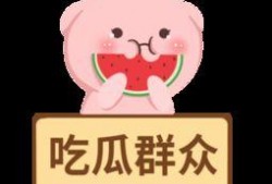 娱乐吃瓜酱素材库下载